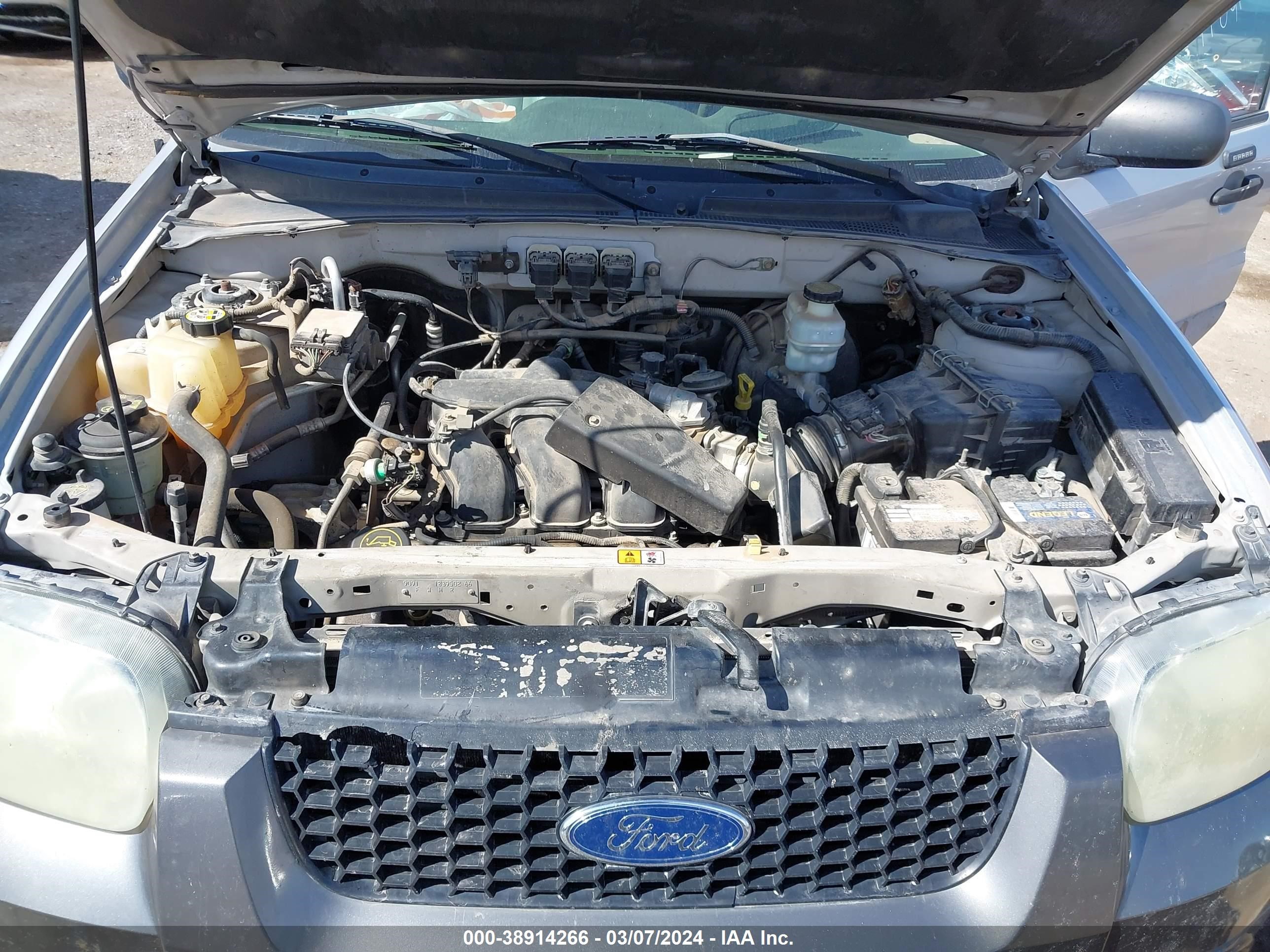 Photo 9 VIN: 1FMYU03125KB15993 - FORD ESCAPE 