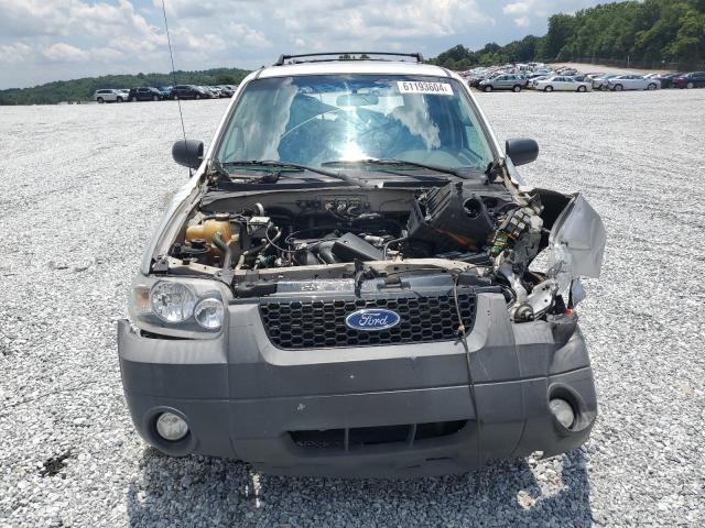 Photo 4 VIN: 1FMYU03137KA16344 - FORD ESCAPE 