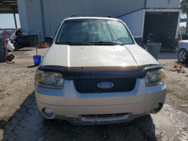 Photo 4 VIN: 1FMYU03137KB70360 - FORD ESCAPE XLT 