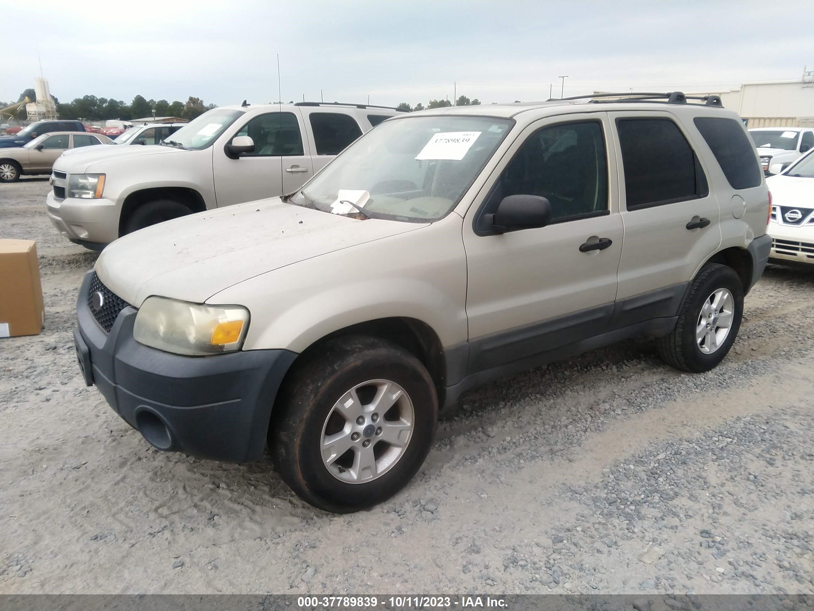 Photo 1 VIN: 1FMYU03156KA08048 - FORD ESCAPE 