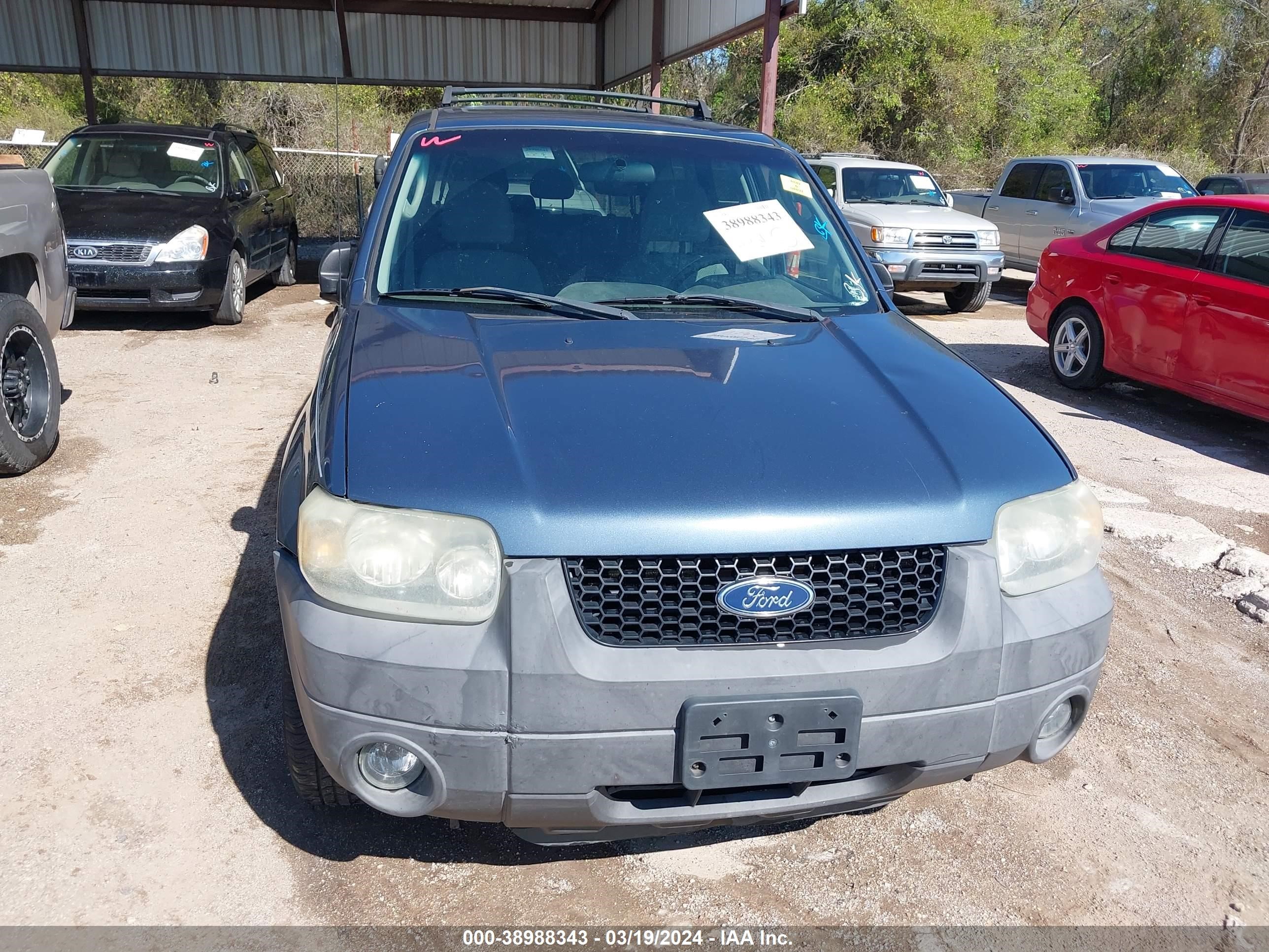 Photo 5 VIN: 1FMYU03165KA74171 - FORD ESCAPE 