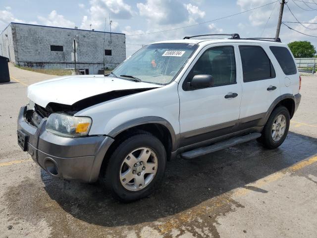 Photo 0 VIN: 1FMYU03166KC81273 - FORD ESCAPE 