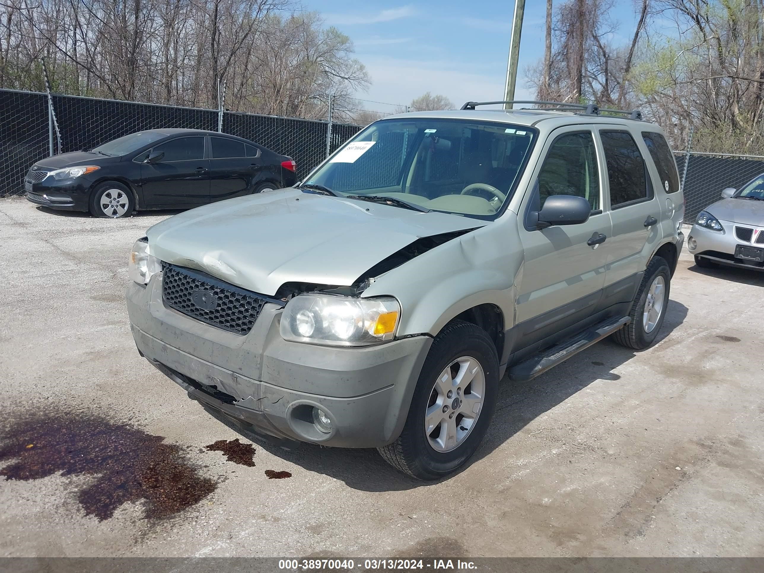 Photo 1 VIN: 1FMYU03175DA22939 - FORD ESCAPE 