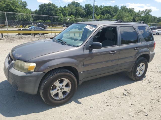 Photo 0 VIN: 1FMYU03175KB51999 - FORD ESCAPE 