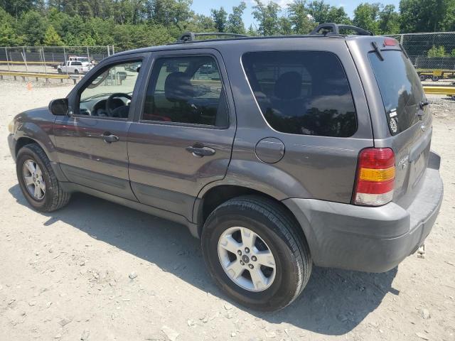 Photo 1 VIN: 1FMYU03175KB51999 - FORD ESCAPE 