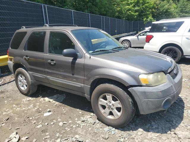 Photo 3 VIN: 1FMYU03175KB51999 - FORD ESCAPE 