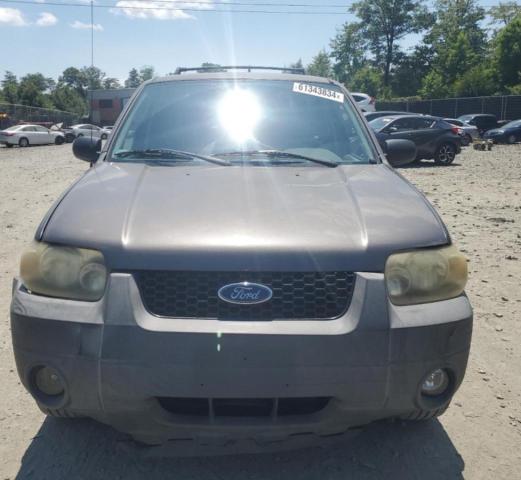 Photo 4 VIN: 1FMYU03175KB51999 - FORD ESCAPE 