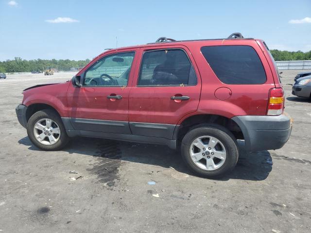 Photo 1 VIN: 1FMYU03175KB62663 - FORD ESCAPE 