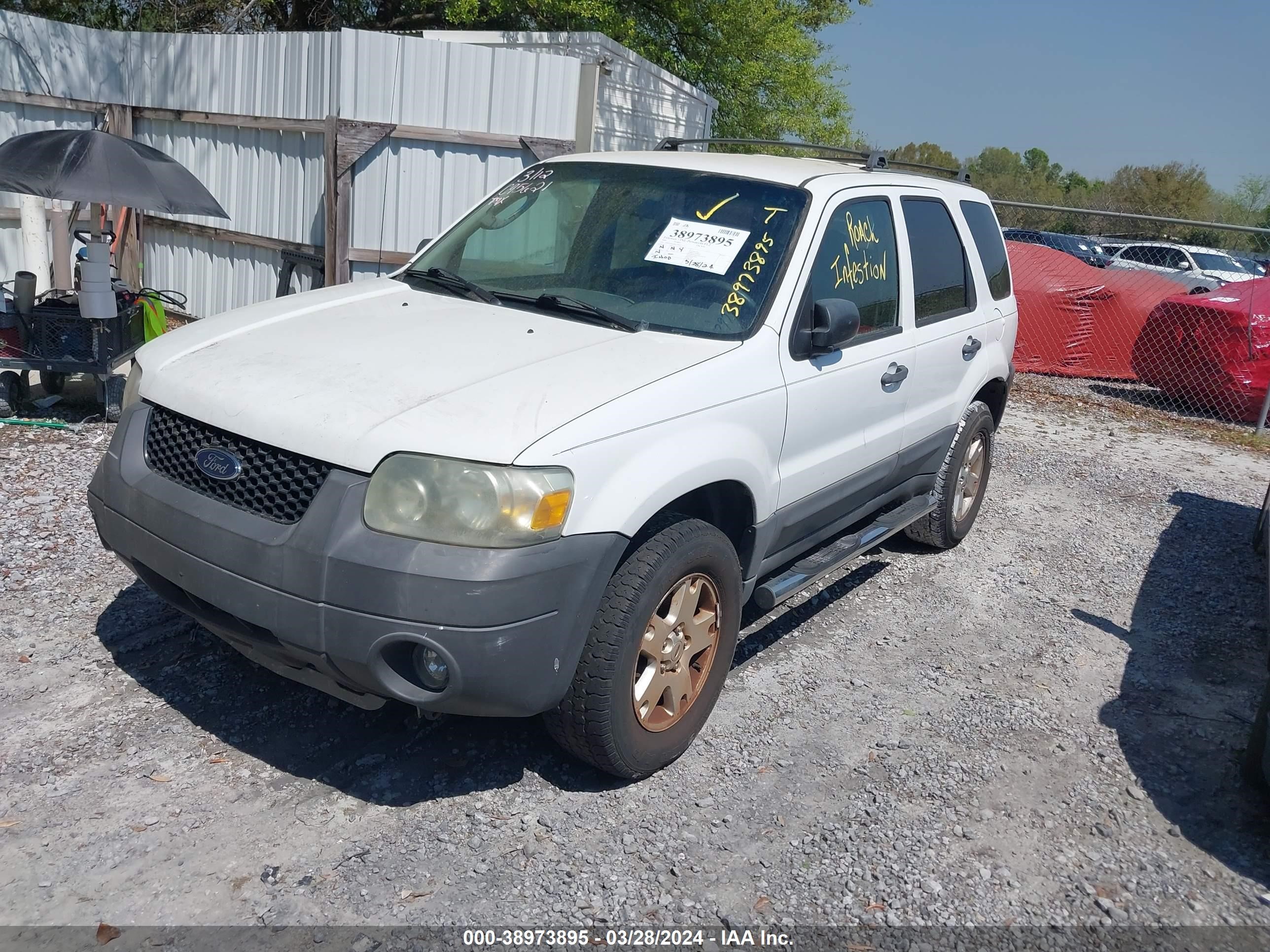 Photo 1 VIN: 1FMYU03176KC95621 - FORD ESCAPE 