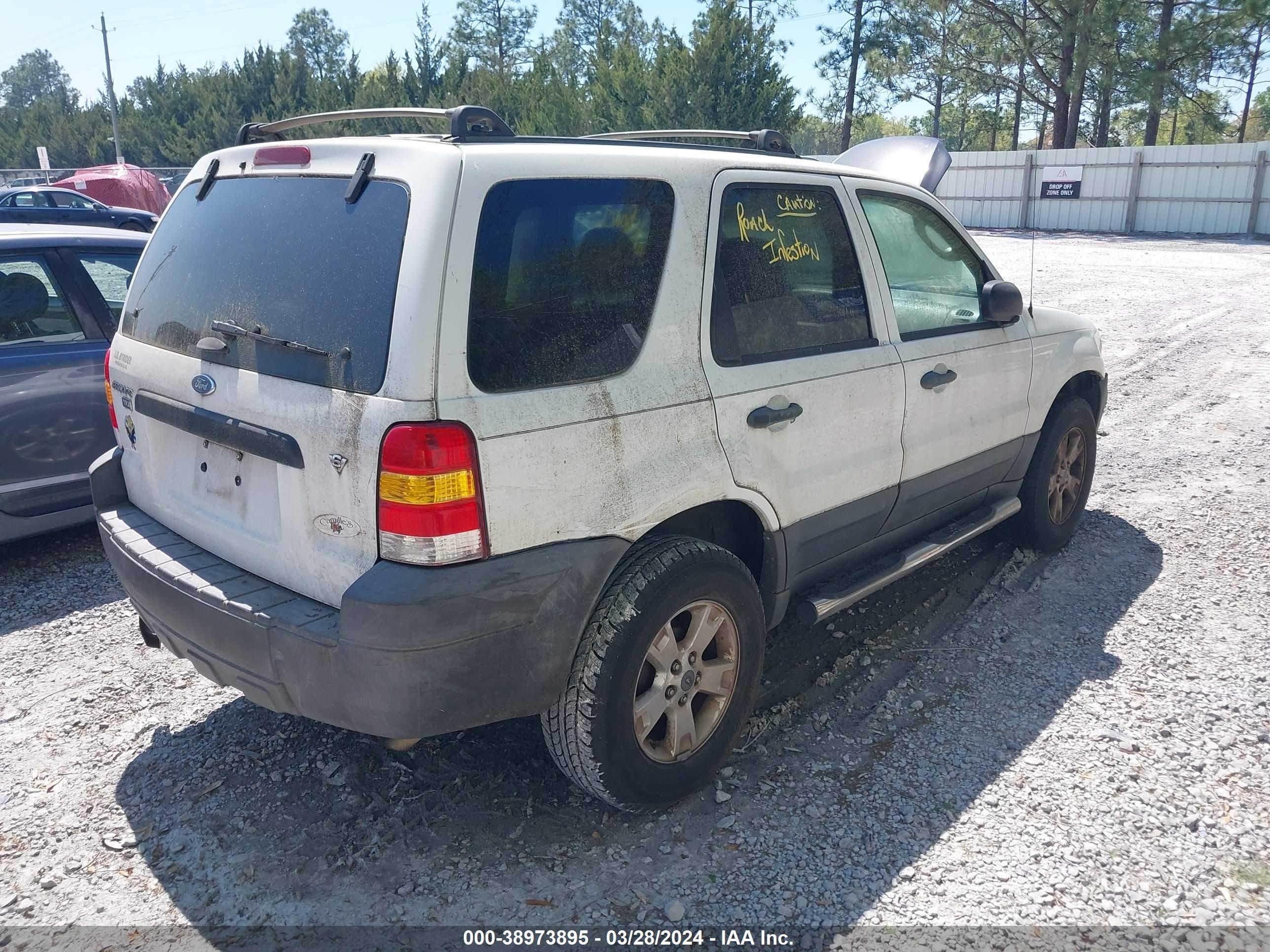 Photo 3 VIN: 1FMYU03176KC95621 - FORD ESCAPE 