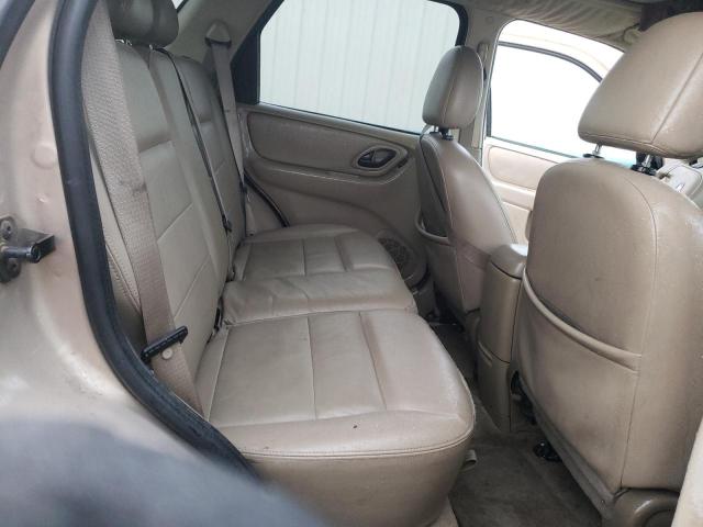 Photo 10 VIN: 1FMYU03177KB70247 - FORD ESCAPE 