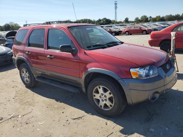 Photo 3 VIN: 1FMYU03185KA84202 - FORD ESCAPE XLT 