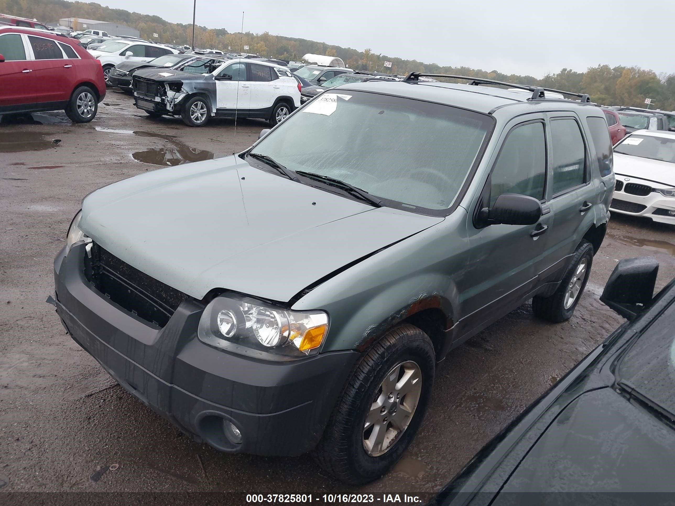 Photo 1 VIN: 1FMYU03185KD29807 - FORD ESCAPE 