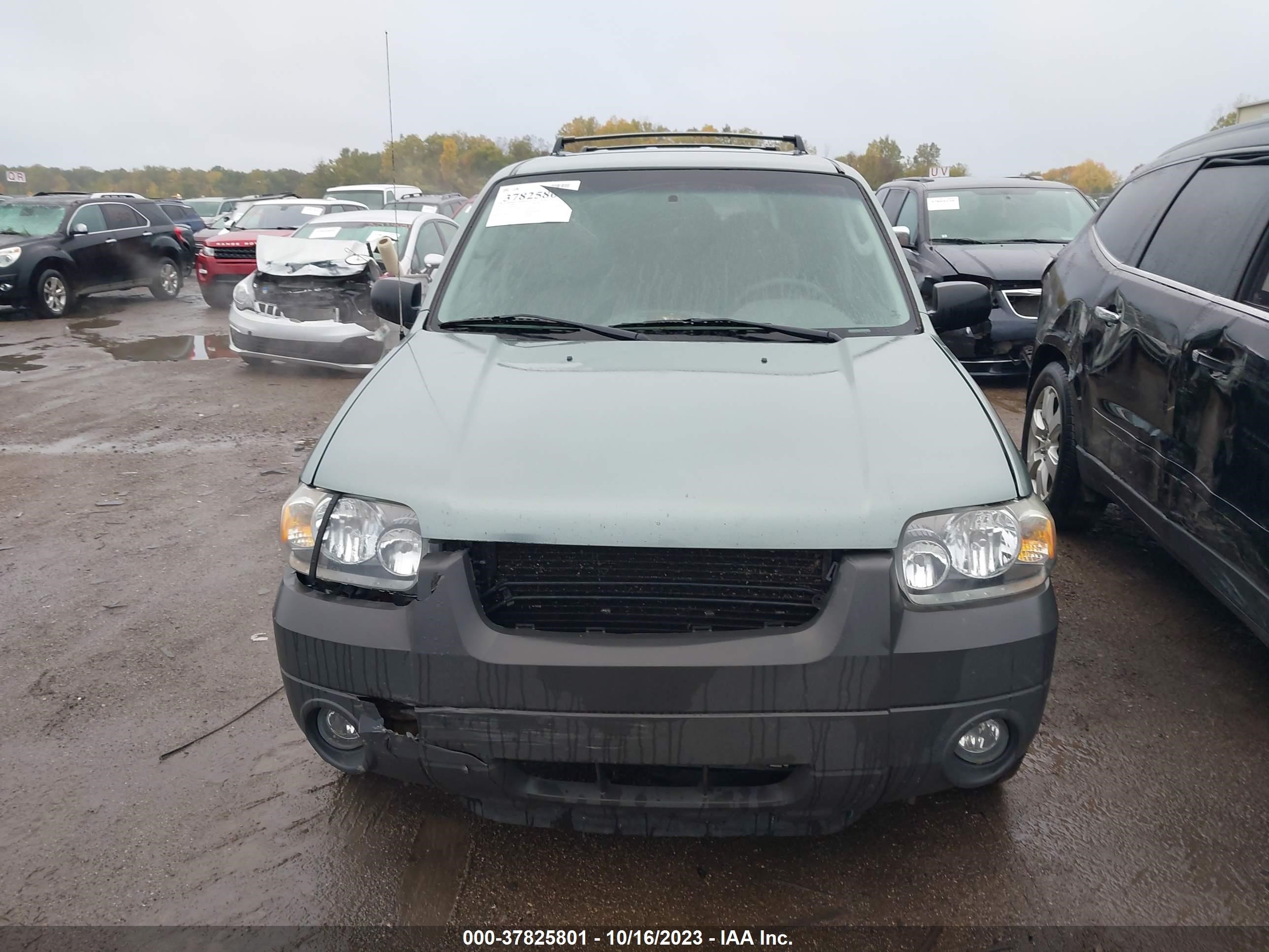 Photo 5 VIN: 1FMYU03185KD29807 - FORD ESCAPE 