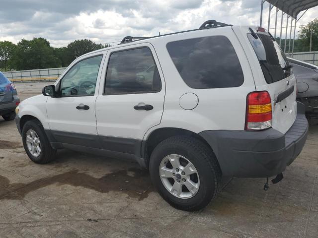 Photo 1 VIN: 1FMYU03195DA07925 - FORD ESCAPE 