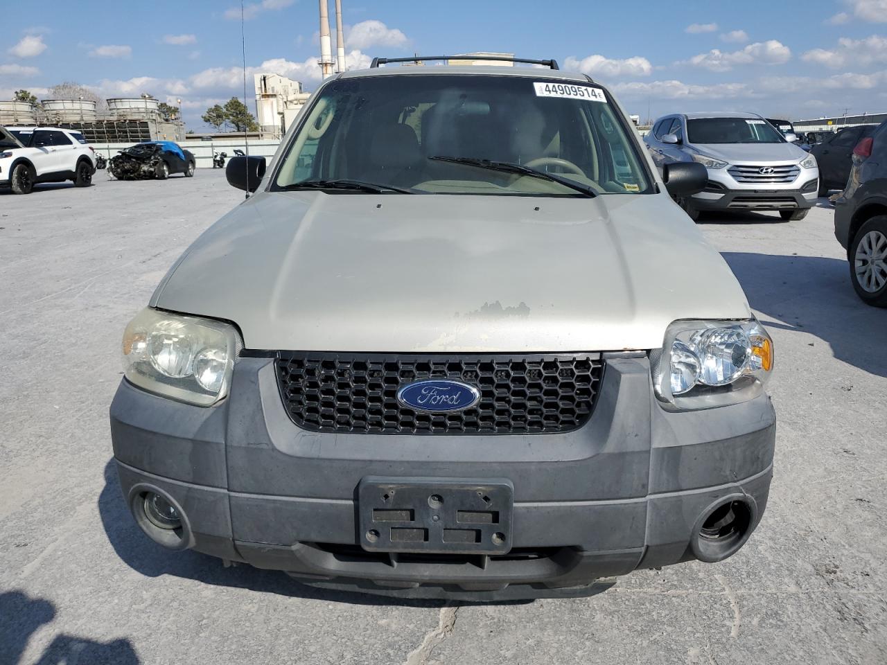 Photo 4 VIN: 1FMYU03195KA89876 - FORD ESCAPE 