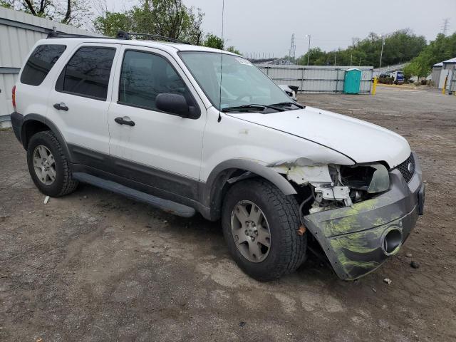 Photo 3 VIN: 1FMYU03195KB15263 - FORD ESCAPE 