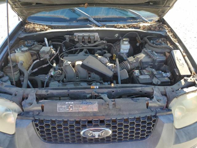 Photo 10 VIN: 1FMYU03195KB16221 - FORD ESCAPE 