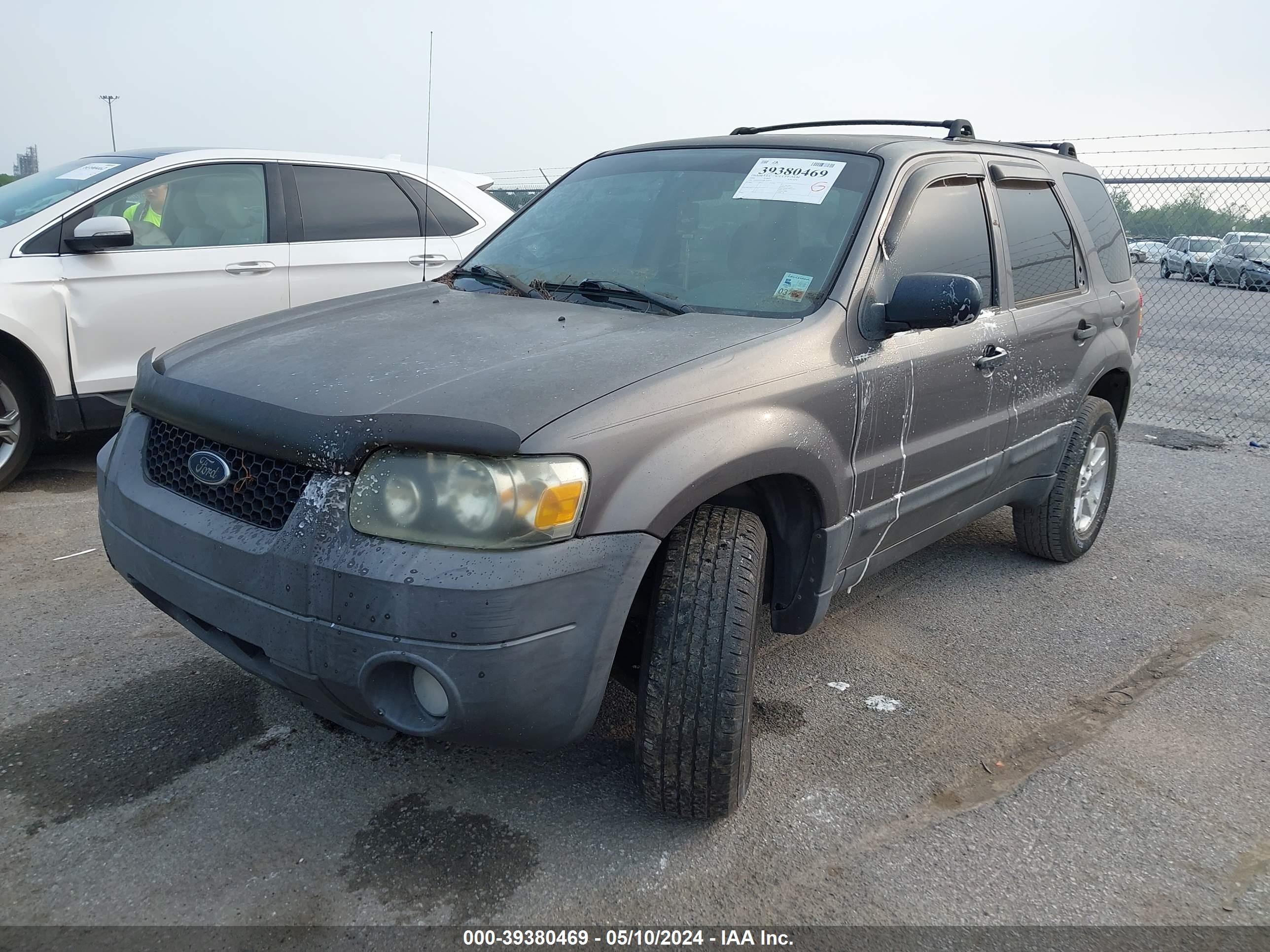 Photo 1 VIN: 1FMYU03196KD36010 - FORD ESCAPE 