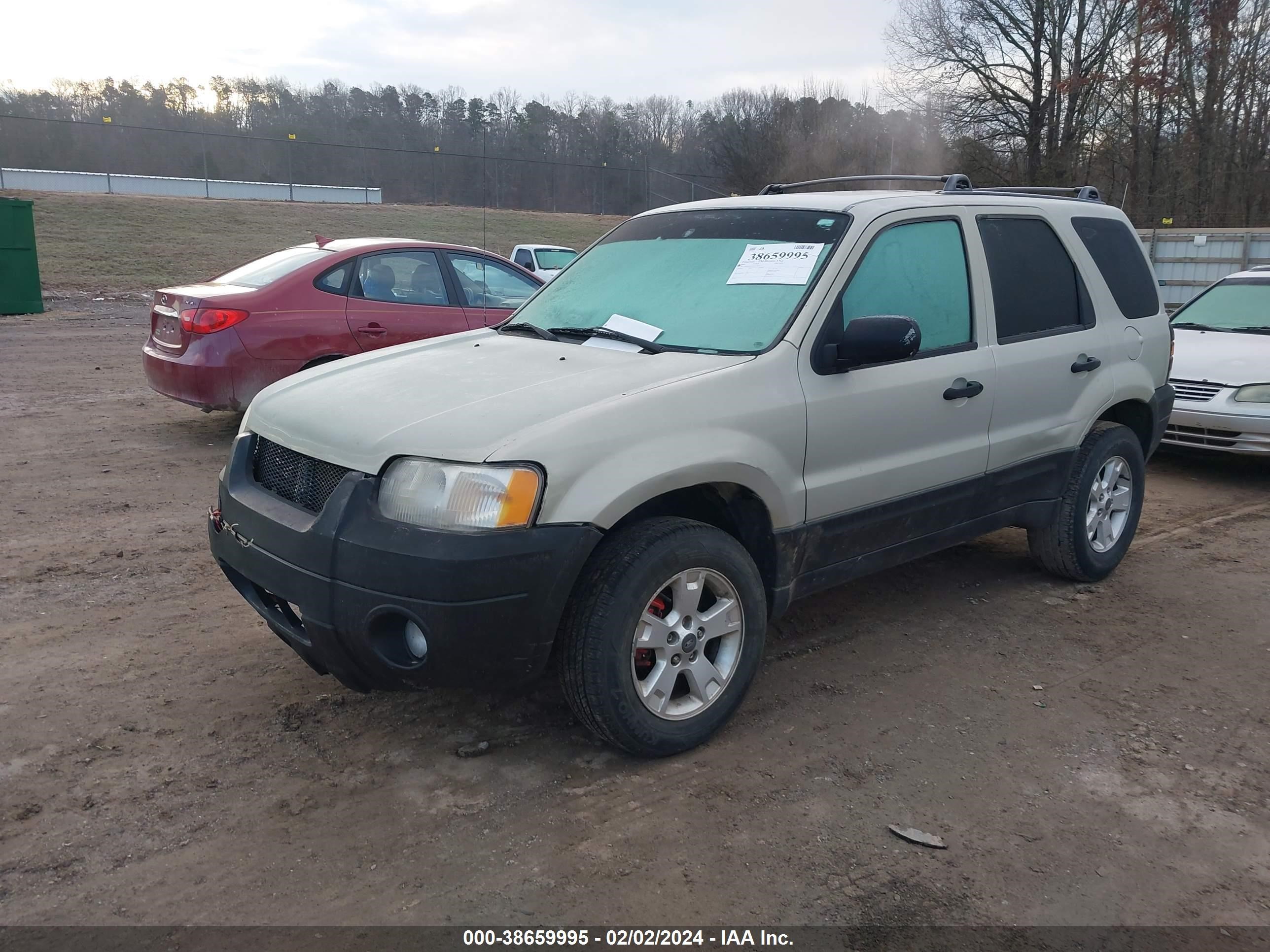 Photo 1 VIN: 1FMYU031X5DA13619 - FORD ESCAPE 