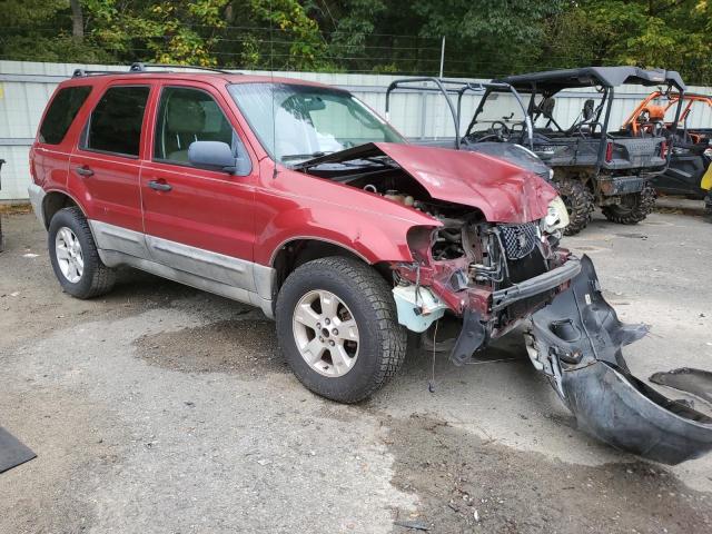 Photo 3 VIN: 1FMYU03Z05KC72623 - FORD ESCAPE XLT 