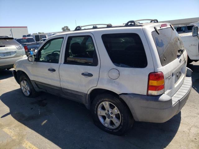 Photo 1 VIN: 1FMYU03Z17KB80293 - FORD ESCAPE 