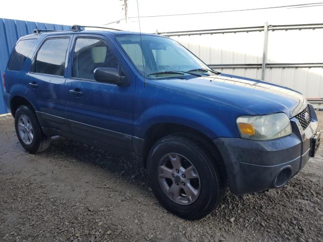 Photo 3 VIN: 1FMYU03Z77KB09096 - FORD ESCAPE 