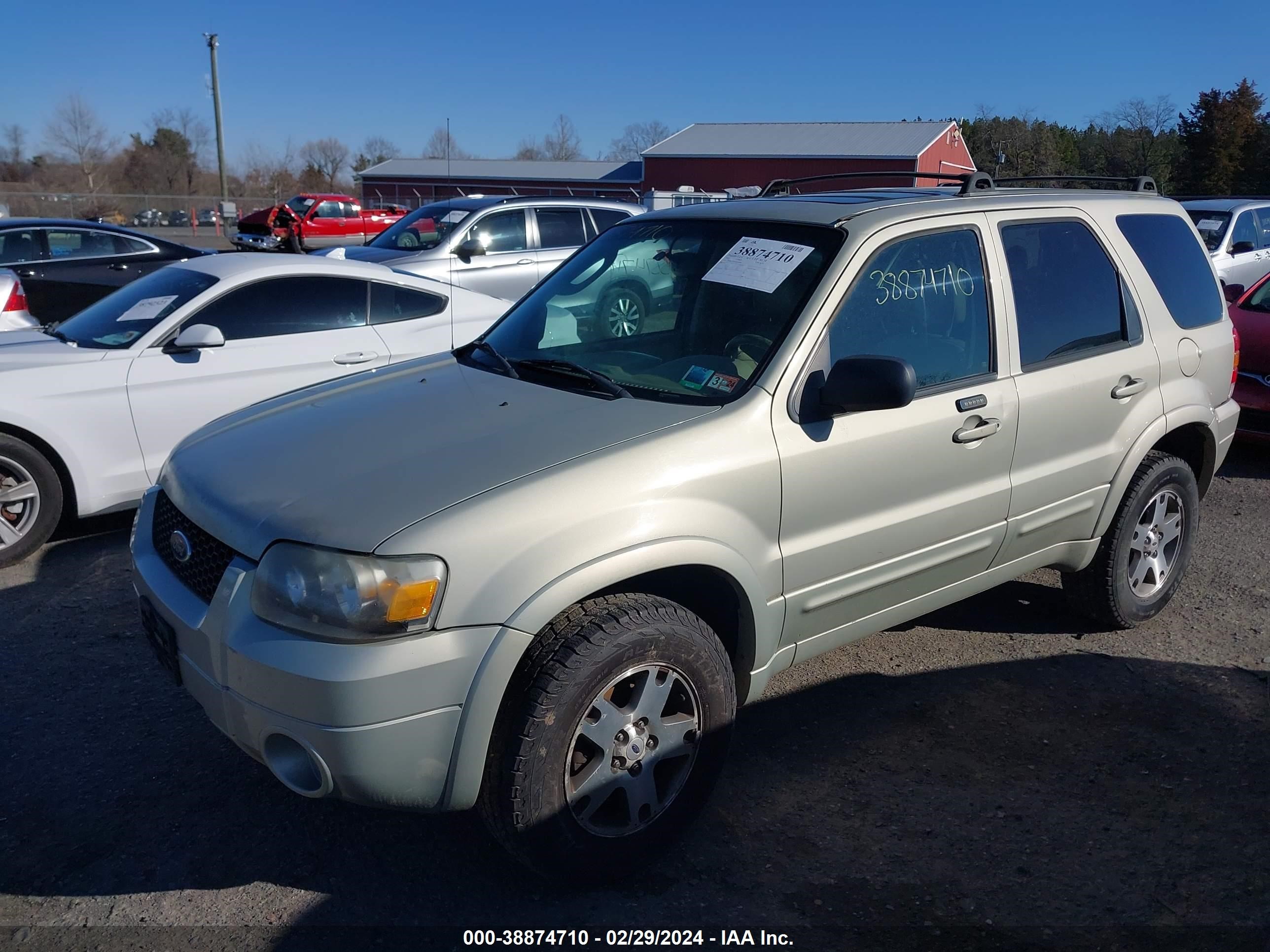 Photo 1 VIN: 1FMYU04105KB16994 - FORD ESCAPE 