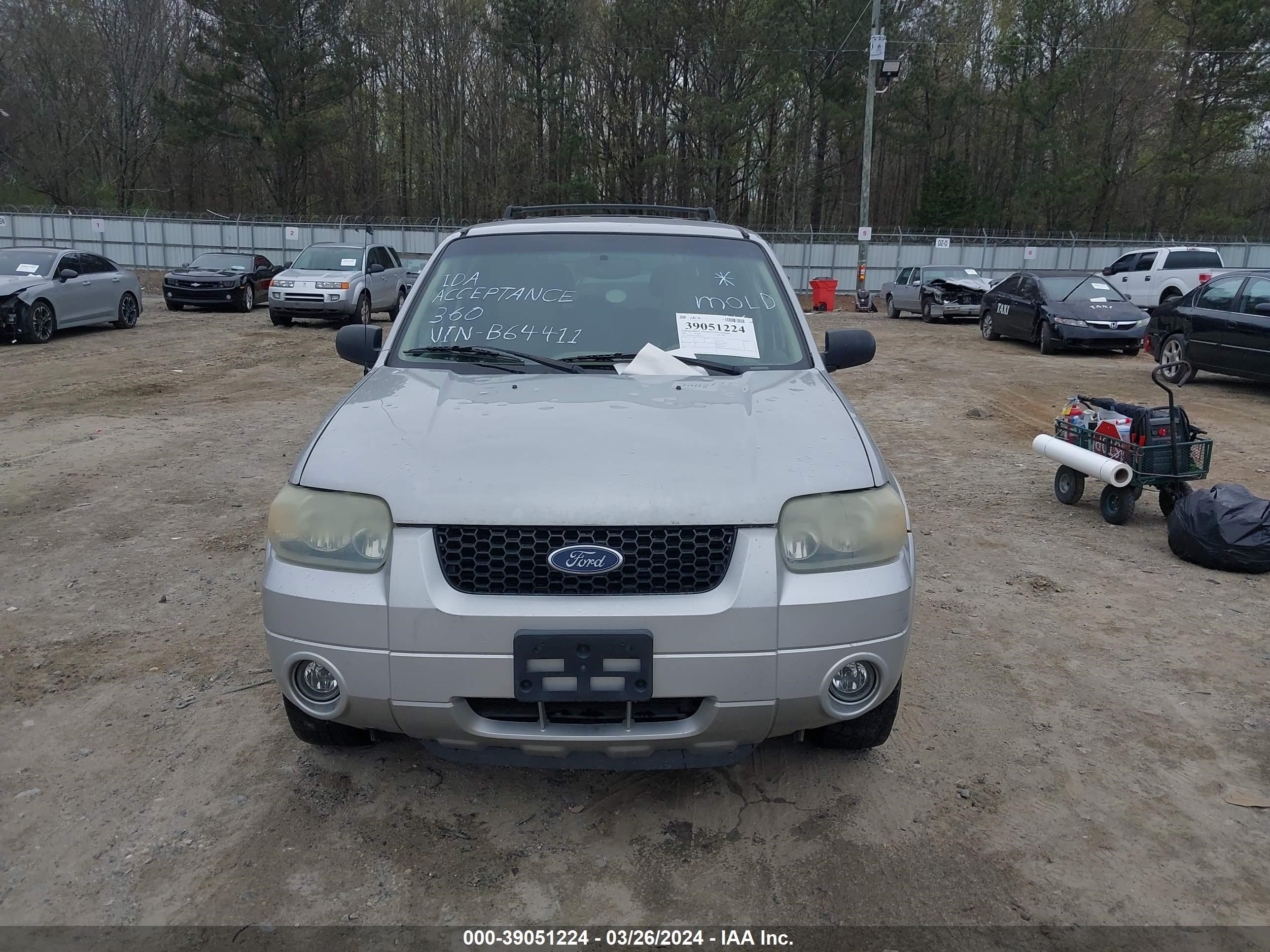 Photo 5 VIN: 1FMYU04135KB64411 - FORD ESCAPE 