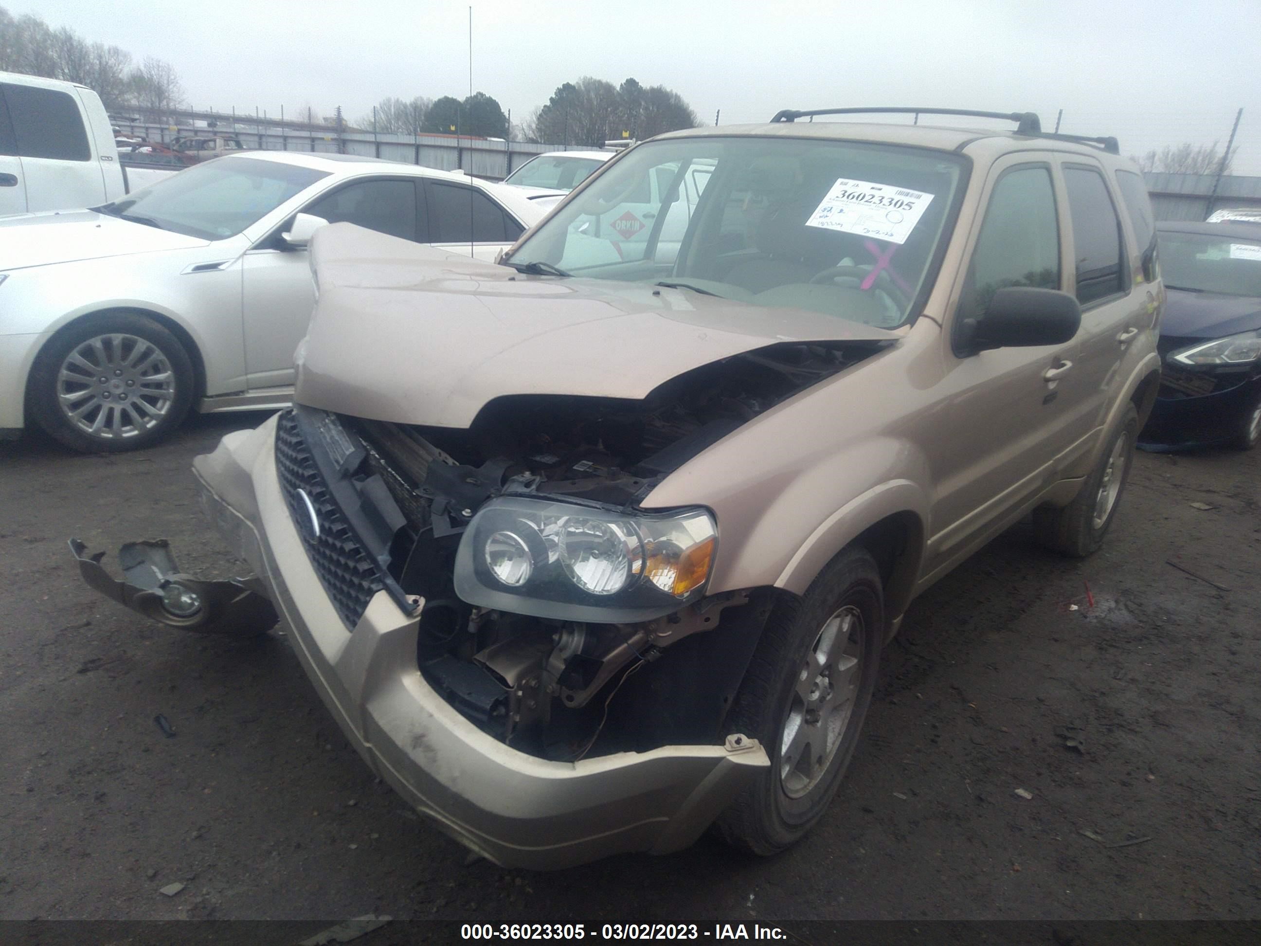 Photo 1 VIN: 1FMYU04197KA33616 - FORD ESCAPE 