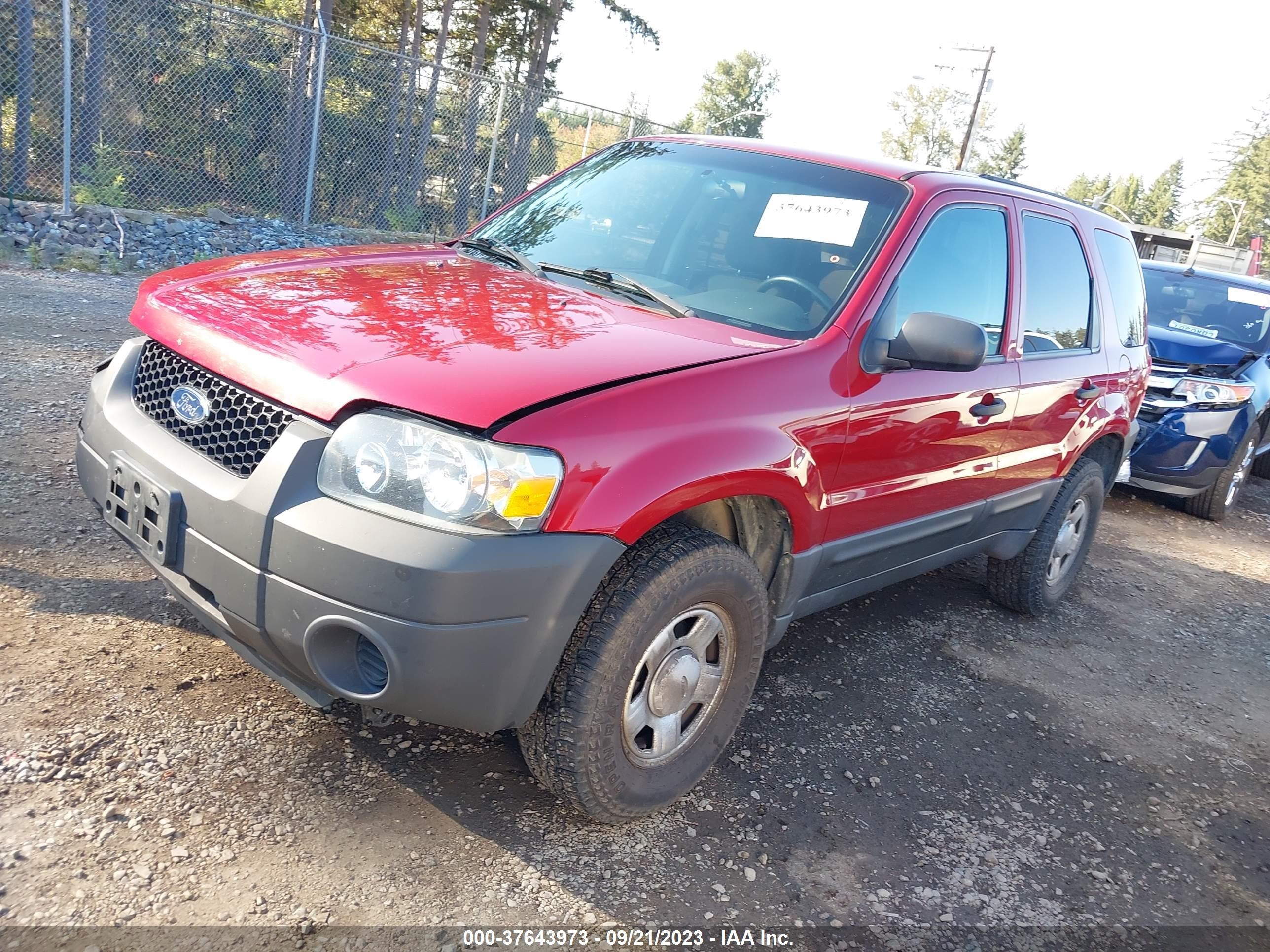 Photo 1 VIN: 1FMYU92Z45KE31181 - FORD ESCAPE 