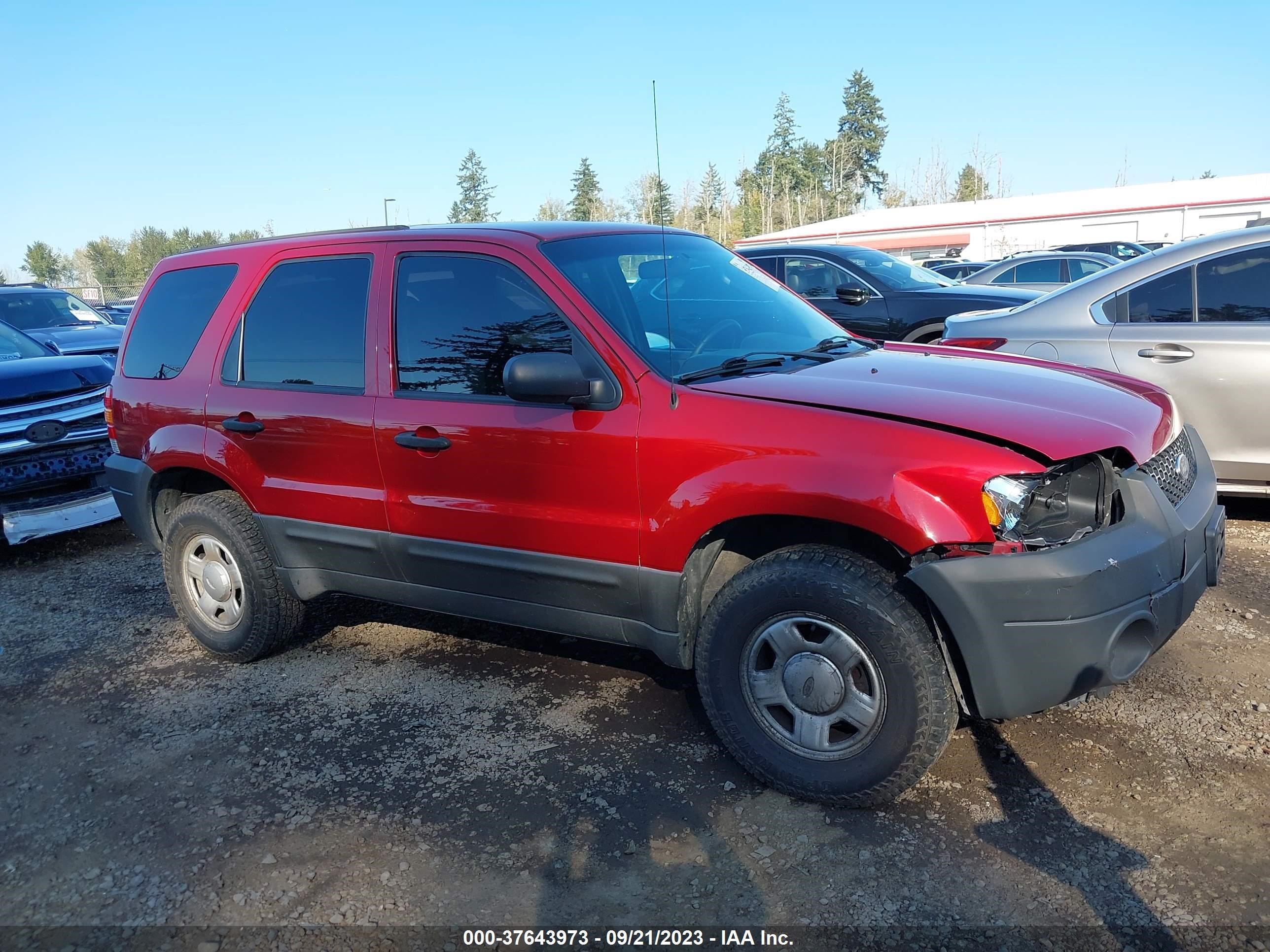 Photo 13 VIN: 1FMYU92Z45KE31181 - FORD ESCAPE 