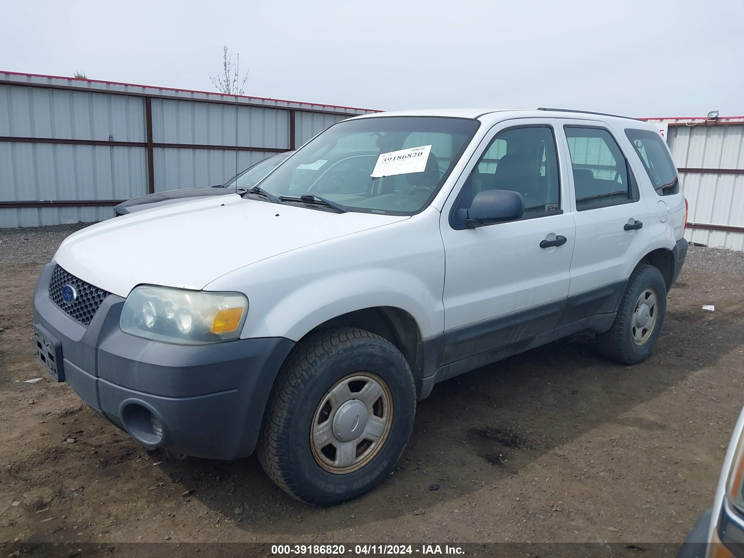 Photo 1 VIN: 1FMYU92Z56KC13297 - FORD ESCAPE 