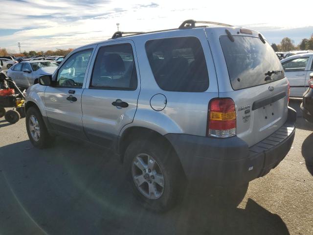 Photo 1 VIN: 1FMYU93105DA17151 - FORD ESCAPE 