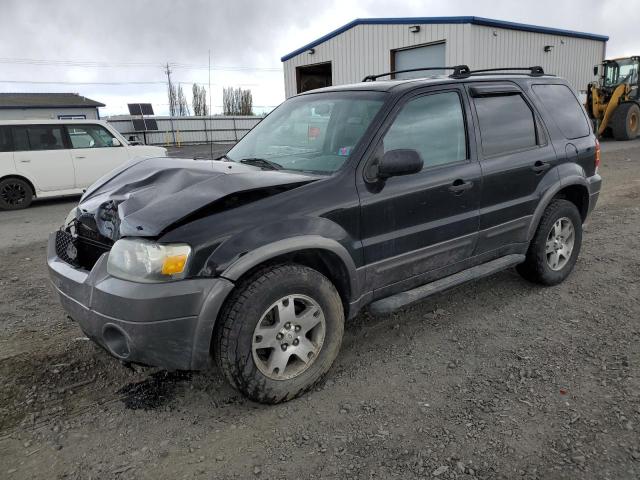 Photo 0 VIN: 1FMYU93105KA67057 - FORD ESCAPE 