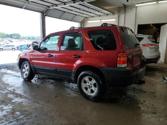 Photo 1 VIN: 1FMYU93105KB49595 - FORD ESCAPE 