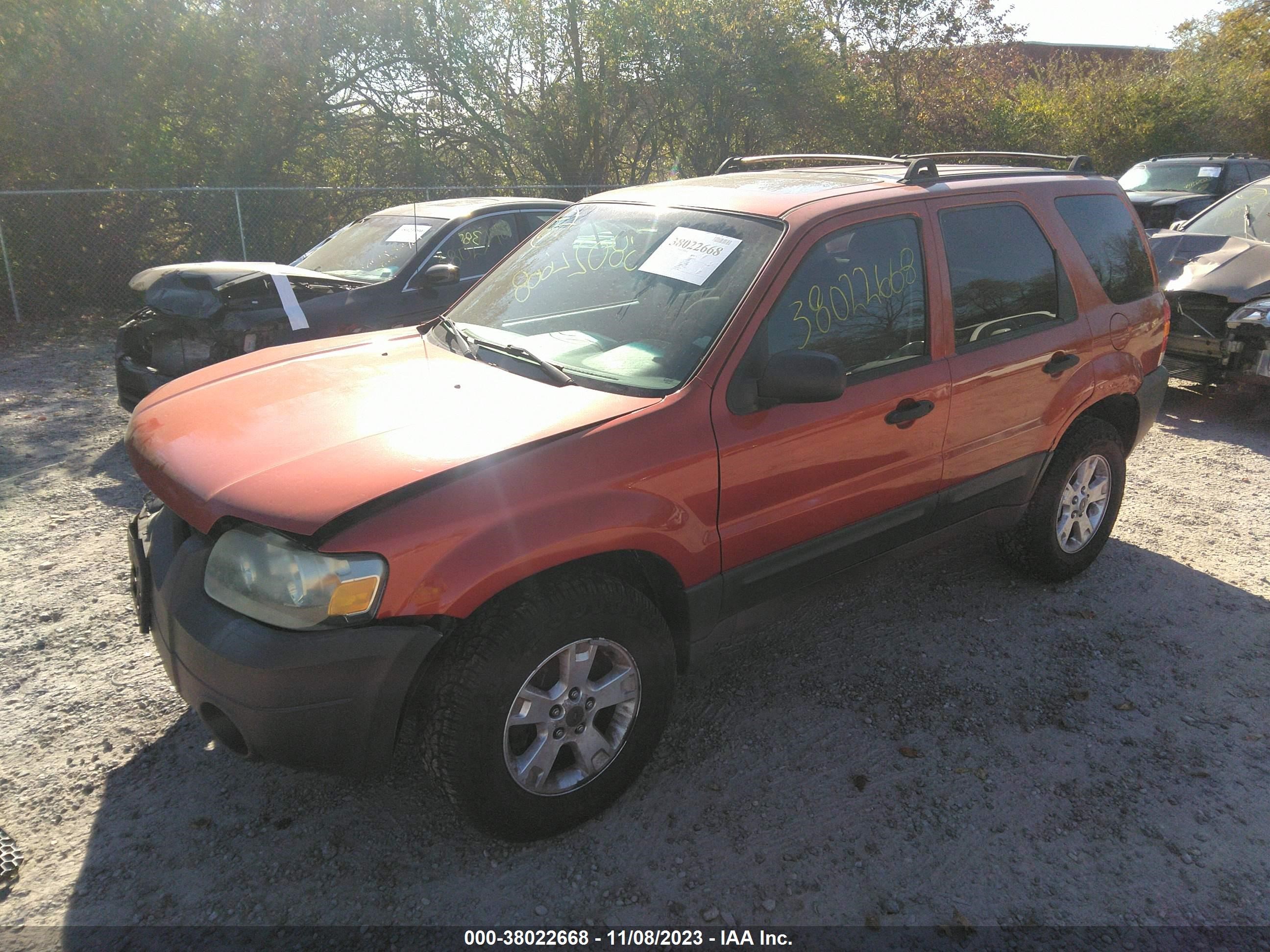 Photo 1 VIN: 1FMYU93106KB48125 - FORD ESCAPE 