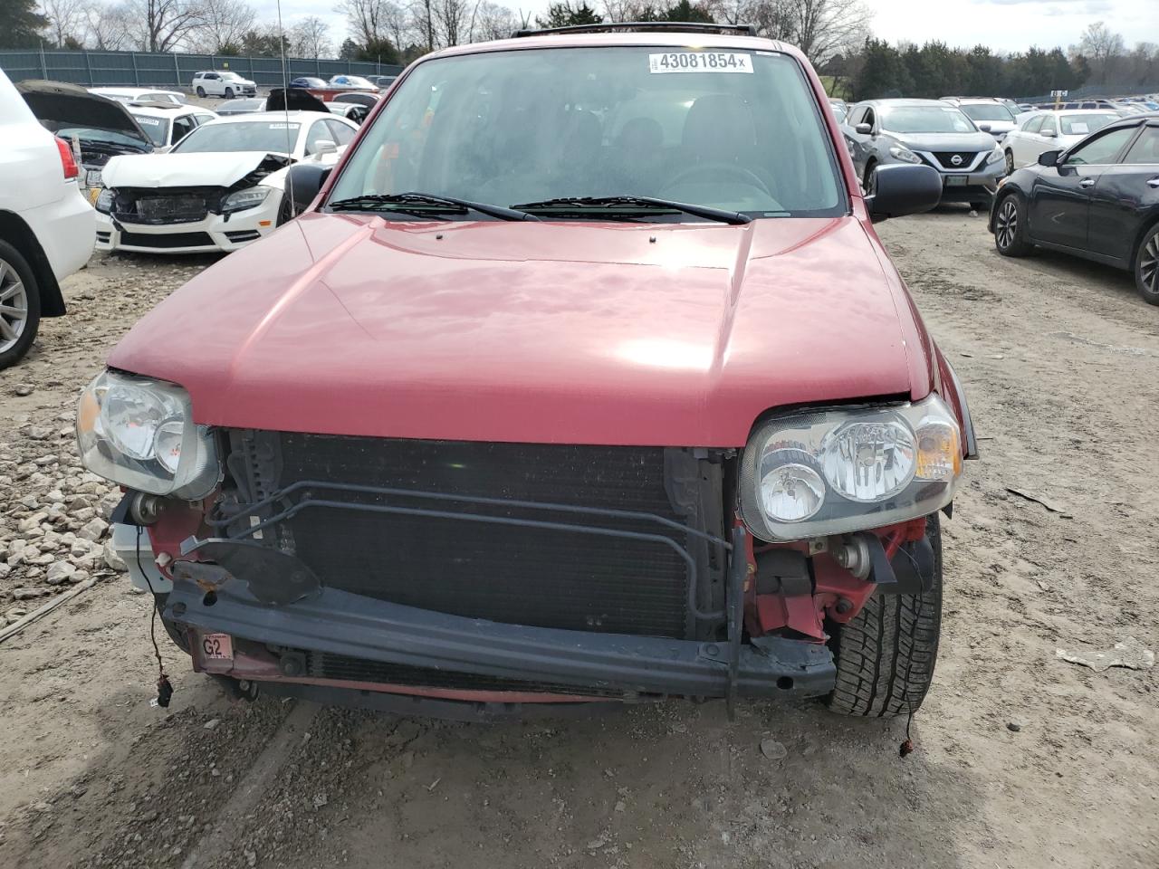 Photo 4 VIN: 1FMYU93115KA37503 - FORD ESCAPE 