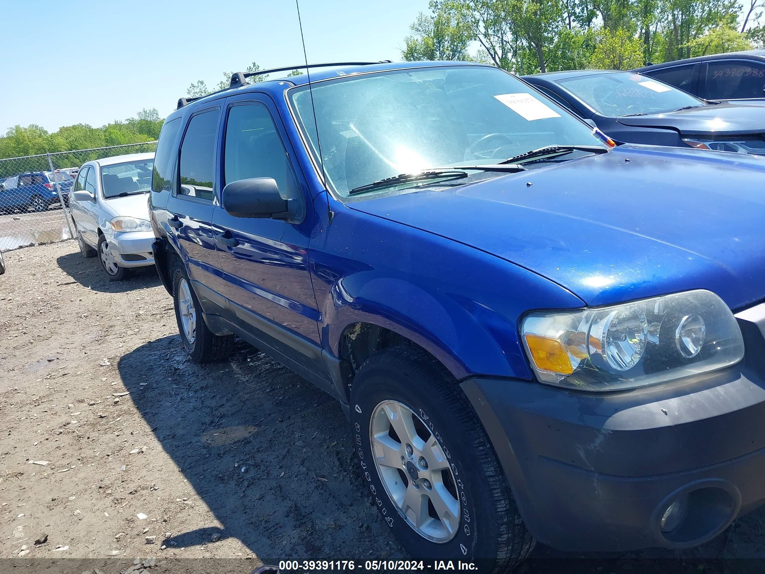 Photo 12 VIN: 1FMYU93116KB08975 - FORD ESCAPE 