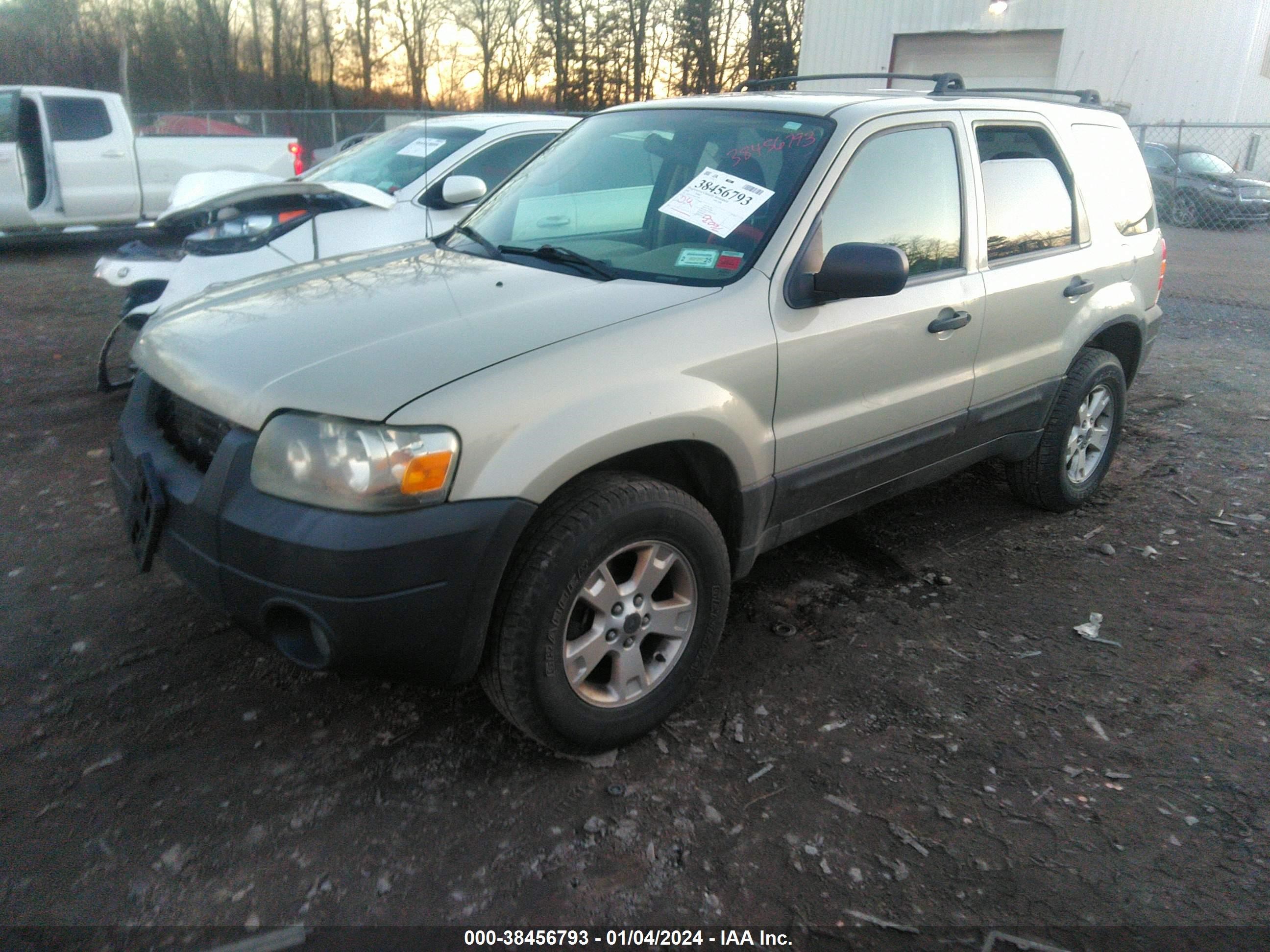 Photo 1 VIN: 1FMYU93116KB17689 - FORD ESCAPE 