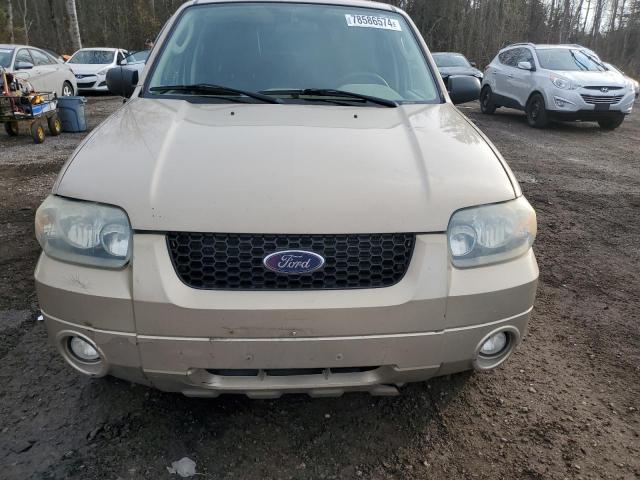 Photo 4 VIN: 1FMYU93117KA26763 - FORD ESCAPE XLT 