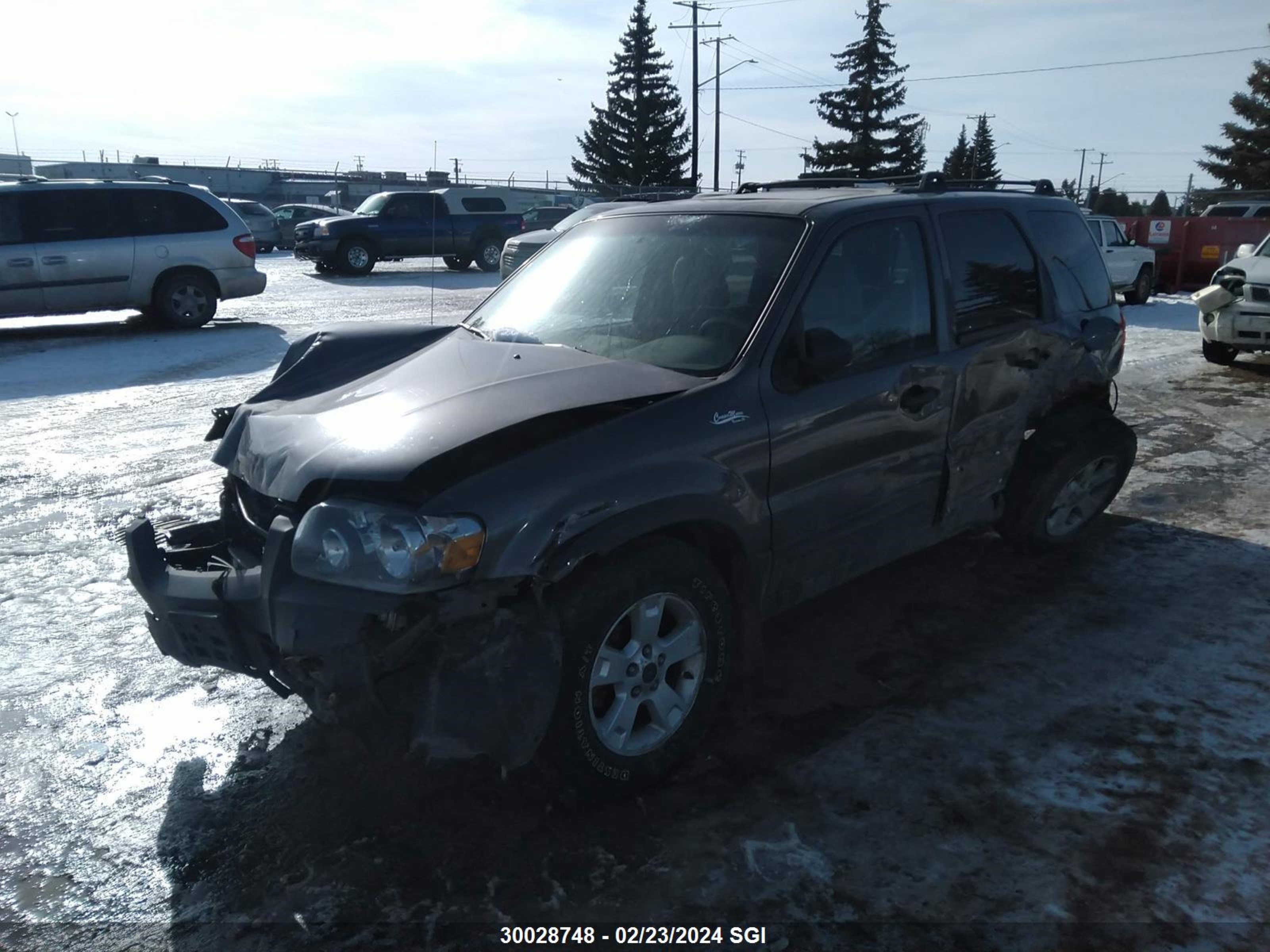 Photo 1 VIN: 1FMYU93125KA13646 - FORD ESCAPE 