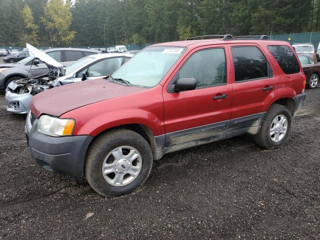 Photo 0 VIN: 1FMYU93133KB44873 - FORD ESCAPE XLT 