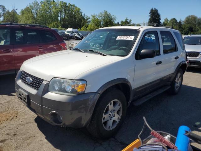 Photo 0 VIN: 1FMYU93135KA59180 - FORD ESCAPE XLT 