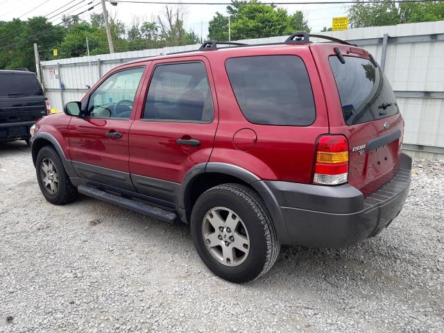 Photo 1 VIN: 1FMYU93135KB06000 - FORD ESCAPE 