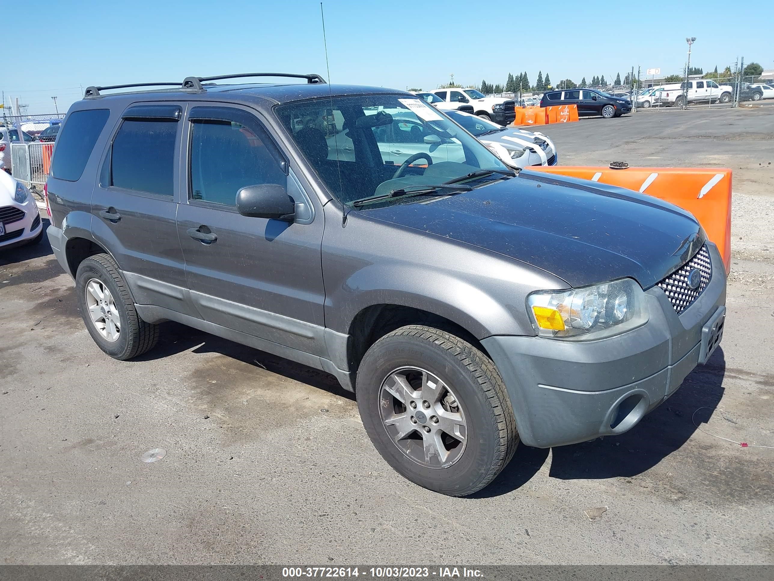 Photo 0 VIN: 1FMYU93135KD11378 - FORD ESCAPE 