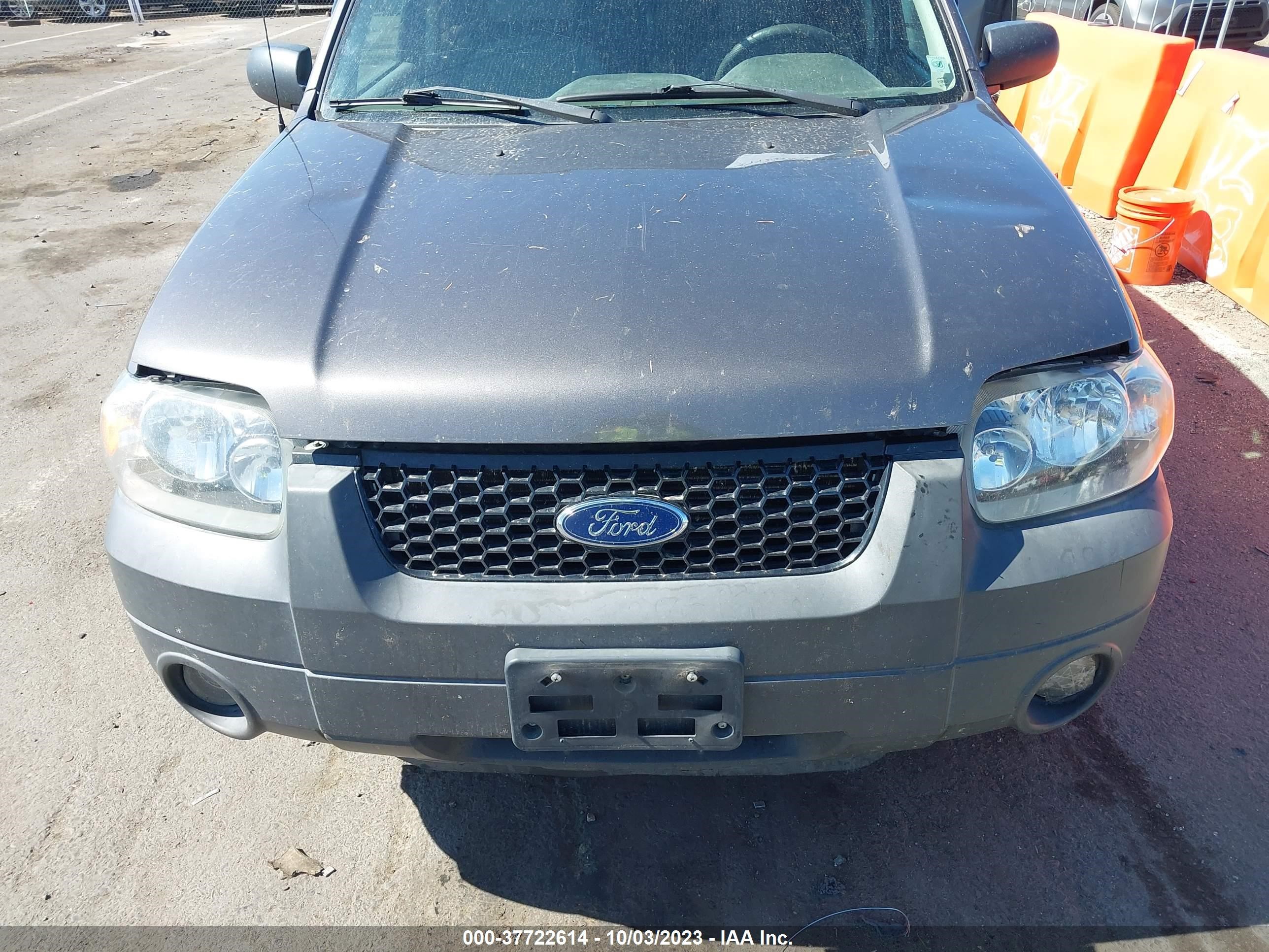 Photo 5 VIN: 1FMYU93135KD11378 - FORD ESCAPE 