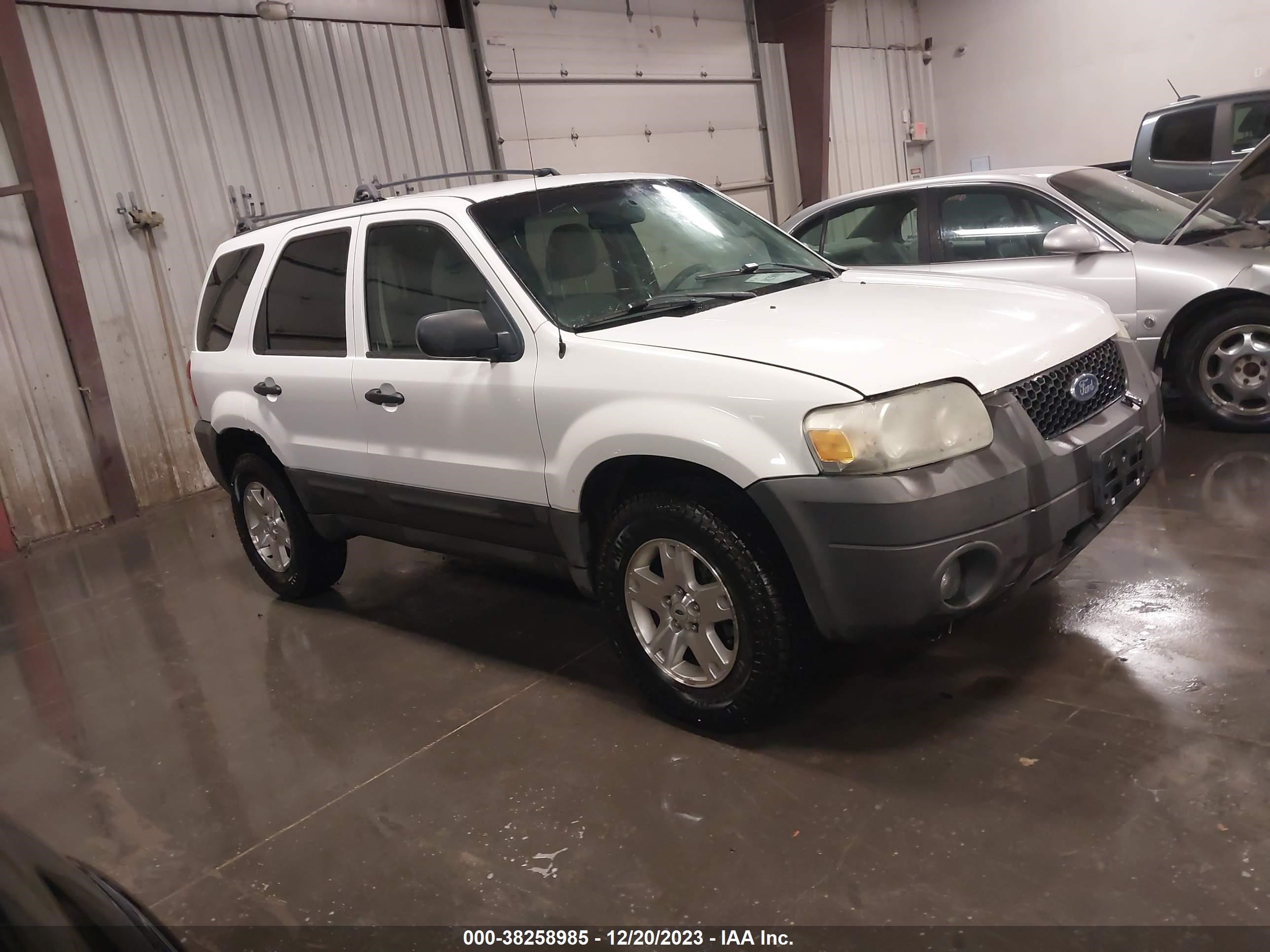 Photo 0 VIN: 1FMYU93136KB33876 - FORD ESCAPE 