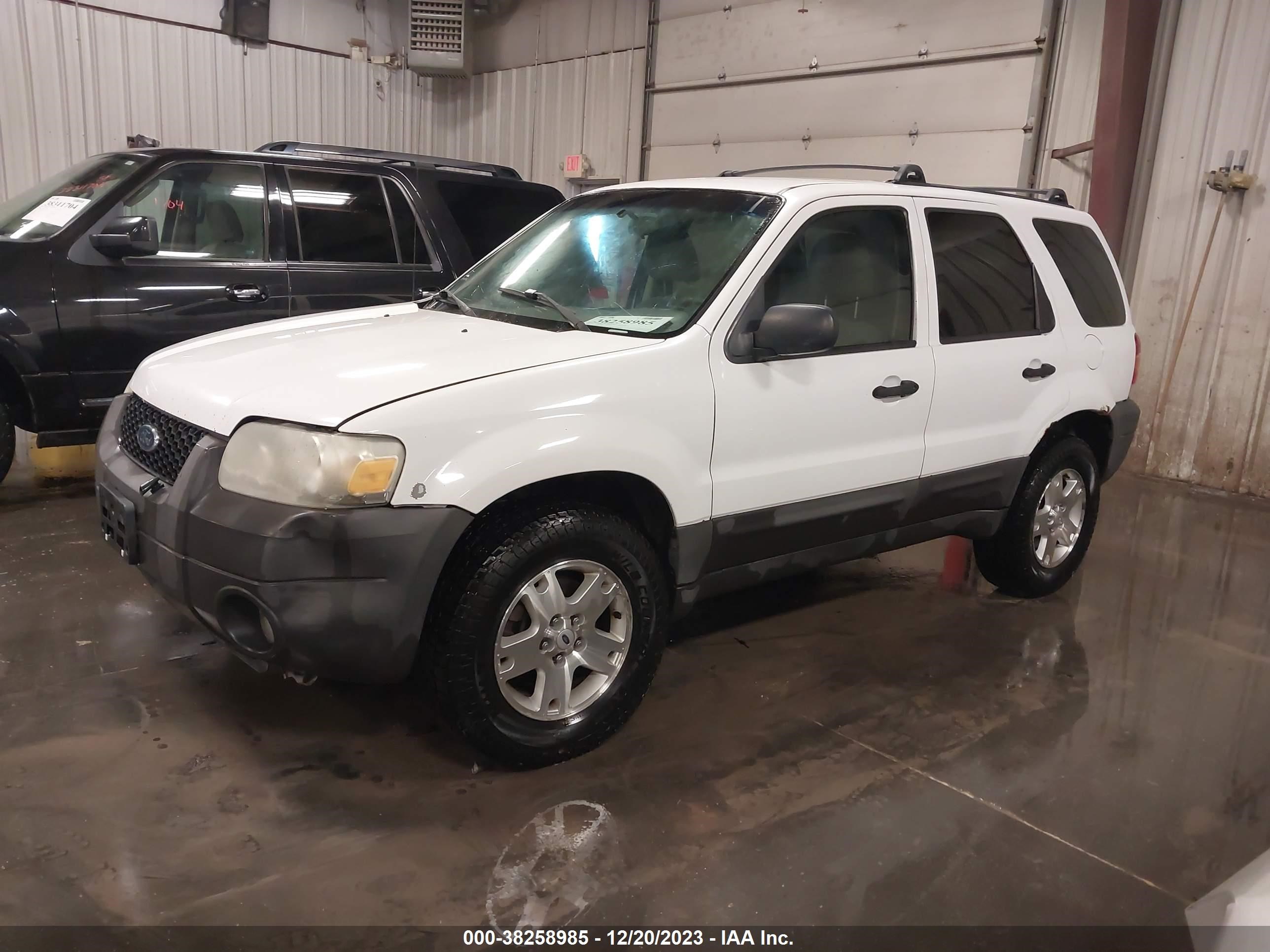 Photo 1 VIN: 1FMYU93136KB33876 - FORD ESCAPE 