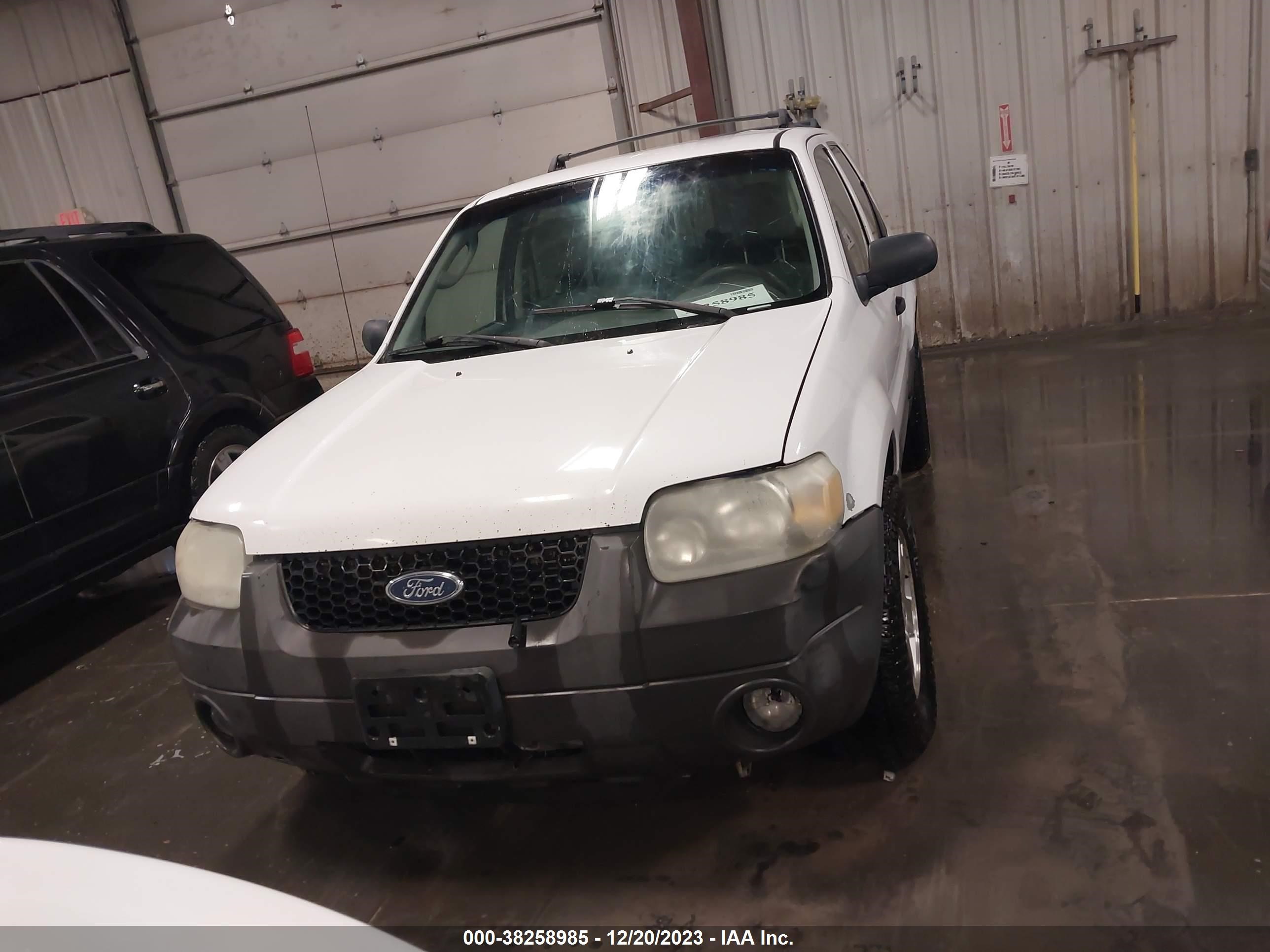 Photo 11 VIN: 1FMYU93136KB33876 - FORD ESCAPE 